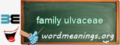 WordMeaning blackboard for family ulvaceae